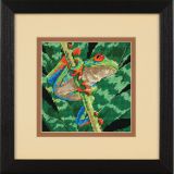 Dimensions 71-07234 Red-Eyed Leaf Frog / Красноглазая лягушка