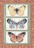Dimensions 06914 Butterfly Triplex / Трио бабочек