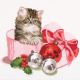 Thea Gouverneur 731 Christmas Kitten / Рождественский котенок