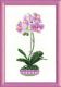 Риолис 1163 Сиреневая орхидея