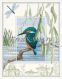 Derwentwater WIL1 Kingfisher
