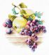 Чудесная игла 50-05 Виноград и яблоки