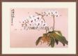 Xiu Crafts 2800134 Phalaenopsis