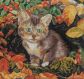 РТО-М271 Осенний котенок