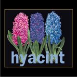 Thea Gouverneur 434.05 Hyacint / Гиацинты