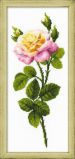 Риолис 1331 Дивный цветок