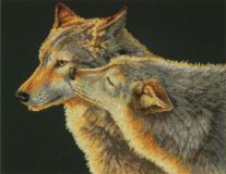 Dimensions 70-35283 Wolf Kiss / Поцелуй волка