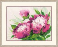 Риолис 100/039 Розовые пионы