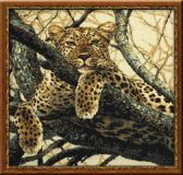 Риолис 937 Леопард