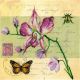 РТО-М70017 Почтовая открытка - Орхидея