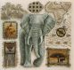 Anchor EPX166 Elephant / Слон