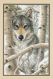 Dimensions 03228 Wintry Wolf / Зимний волк