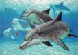 Dimensions 06944 Deep Sea Dolphins / Глубоководные дельфины