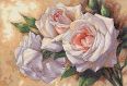 Dimensions 35247 White Roses / Белые розы