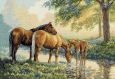 Dimensions 35174 Horses by a Stream / Лошади у источника