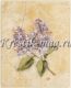 Candamar 51348 Lilac on Cracked Linen Picture / Сирень на старом холсте