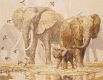 Anchor Maia 01197 African Elephants And Namaqua Doves / Африканские слоны и капские горлицы