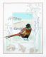 Derwentwater WIL7 Pheasant
