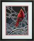 Dimensions 70-35292 Ice Cardinal / Ледяной кардинал