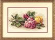 Dimensions 13720 Rose Cuttings / Срезанные розы